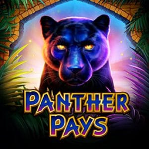 Panther Pays game icon
